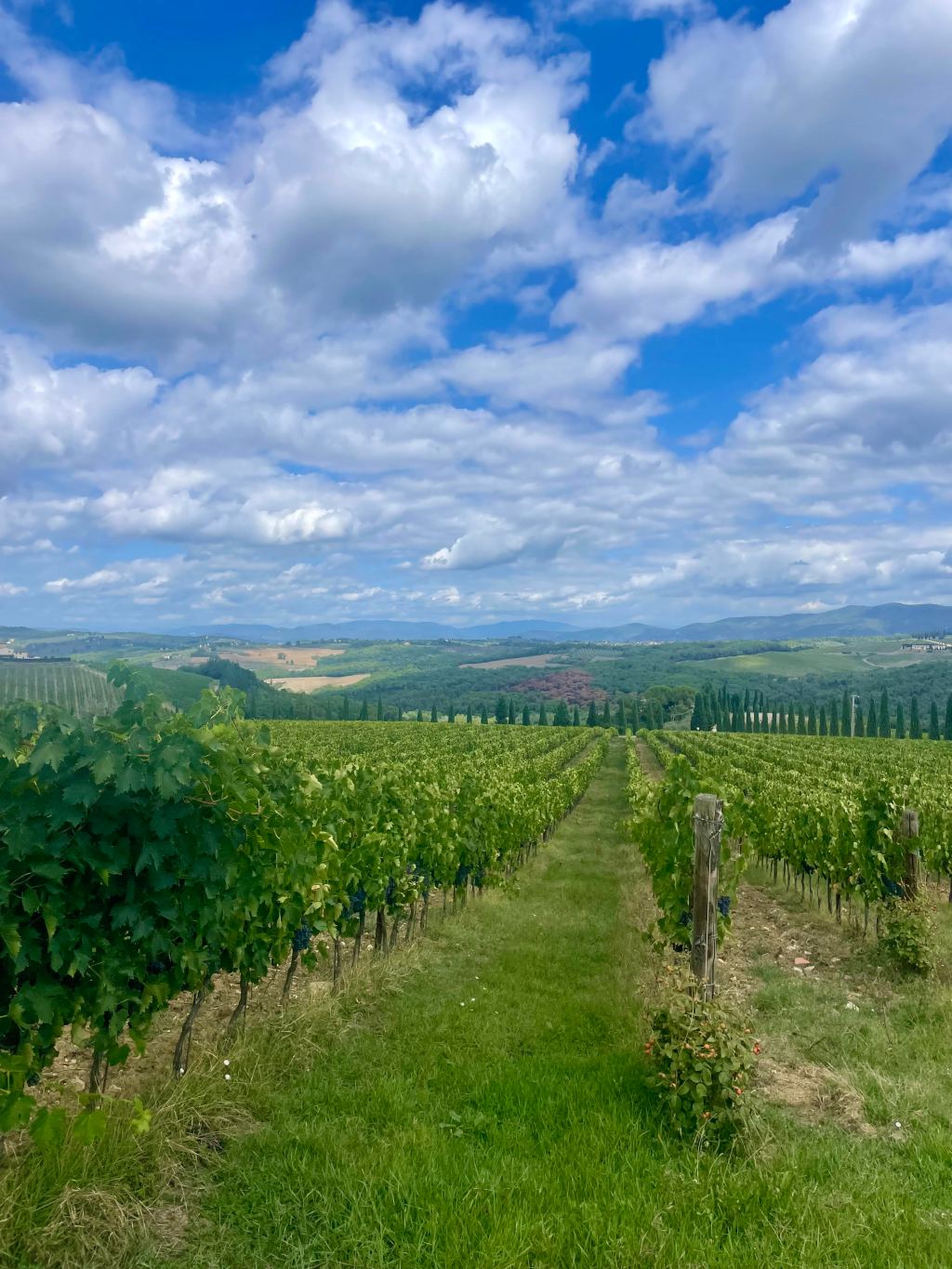 Our trip through the italian&nbsp;cities